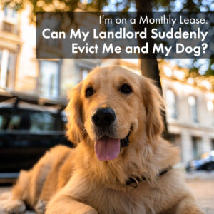 I’m on a Monthly Lease. Can My Landlord Suddenly Evict Me and My Dog?